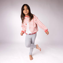 Load image into Gallery viewer, Silly Goose Large Stripe