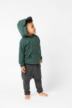 Load image into Gallery viewer, Bear Hoodie - Various Colors