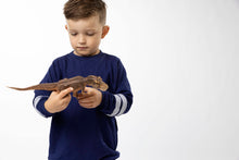 Load image into Gallery viewer, Striped Sweatshirt - Various Colors