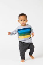Load image into Gallery viewer, Rainbow Chest Sweatshirt - Various Colors