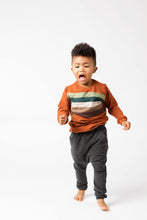 Load image into Gallery viewer, Rainbow Chest Sweatshirt - Various Colors