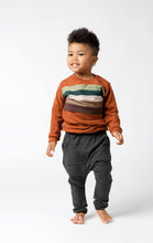 Load image into Gallery viewer, Rainbow Chest Sweatshirt - Various Colors