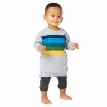 Load image into Gallery viewer, Rainbow Chest Sweatshirt - Various Colors