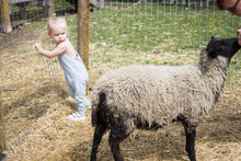 Load image into Gallery viewer, Georgia Romper - Various Colors