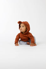 Load image into Gallery viewer, Bear Hoodie - Various Colors
