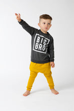 Load image into Gallery viewer, Big Bro / Lil Bro Sweatshirt - Various Colors
