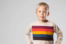 Load image into Gallery viewer, Rainbow Chest Sweatshirt - Various Colors
